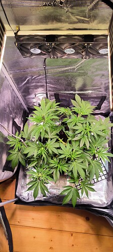 Growreport Bild 9