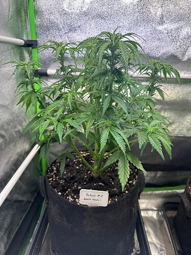 Growreport Bild 9