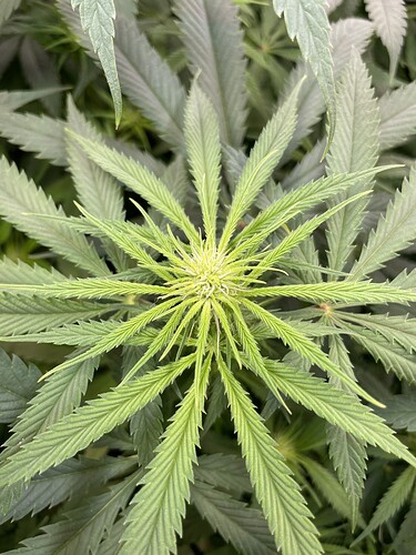 Growreport Bild 19
