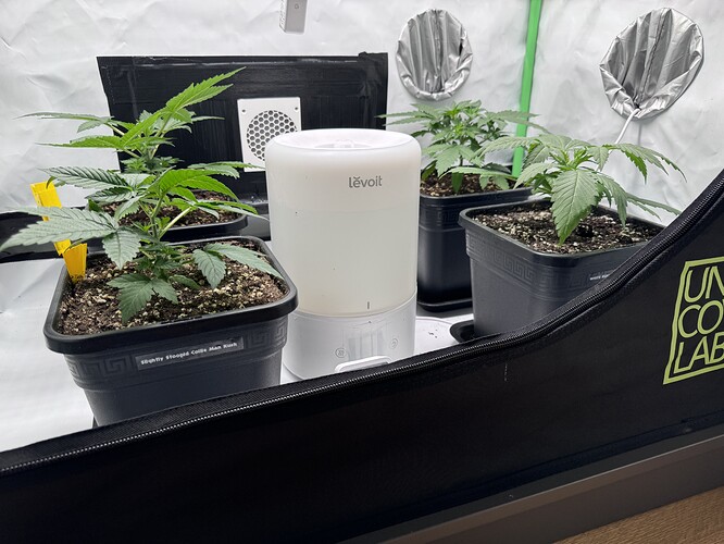 Growreport Bild 1