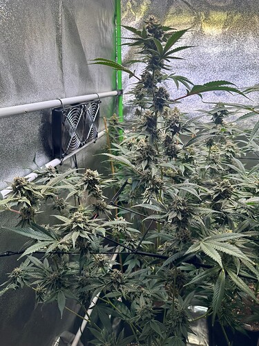 Growreport Bild 17