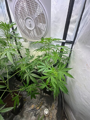Growreport Bild 7