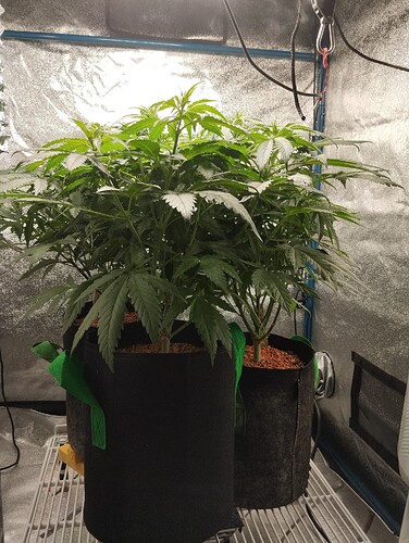 Growreport Bild 5