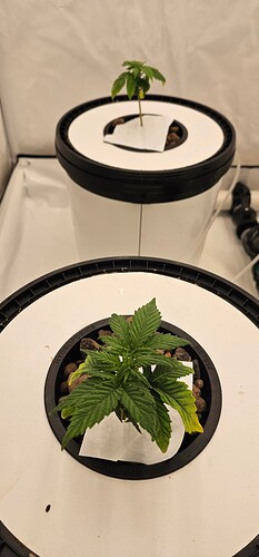 Growreport Bild 10