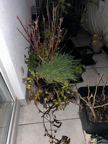 Growreport Bild 12