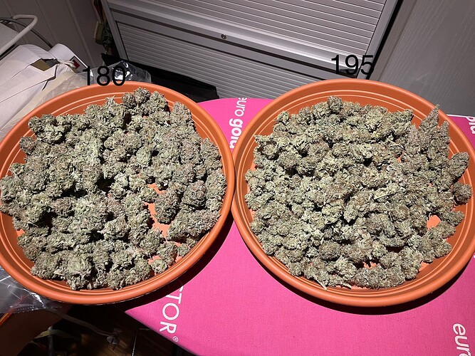 Growreport Bild 6