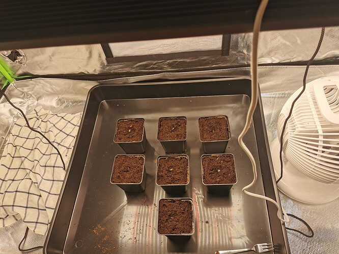Growreport Bild 2