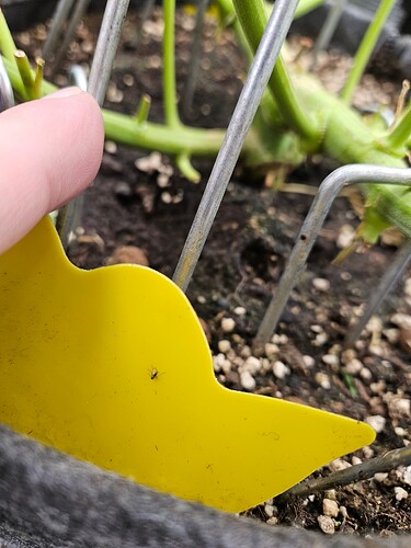 Growreport Bild 15