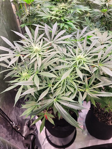 Growreport Bild 15