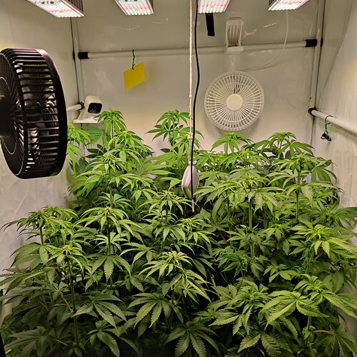 Growreport Bild 6