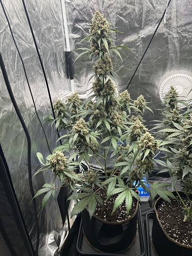 Growreport Bild 10
