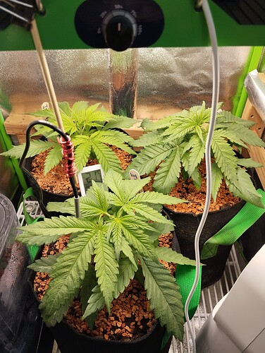 Growreport Bild 10
