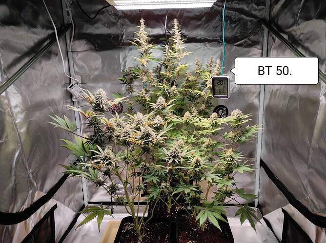 Growreport Bild 1
