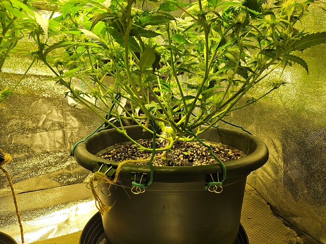 Growreport Bild 10