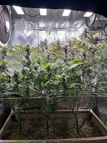 Growreport Bild 13