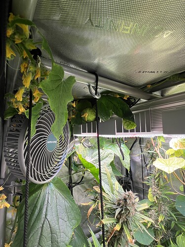 Growreport Bild 11
