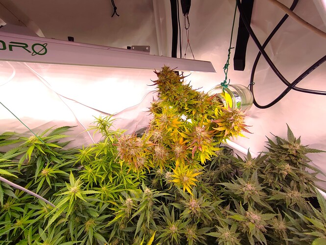 Growreport Bild 18