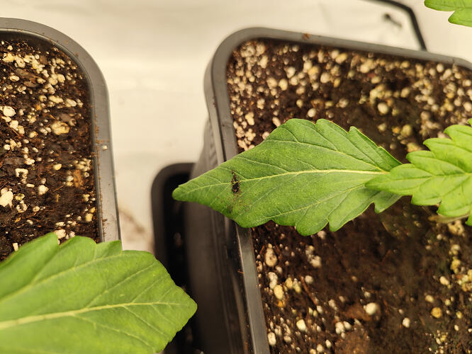 Growreport Bild 15