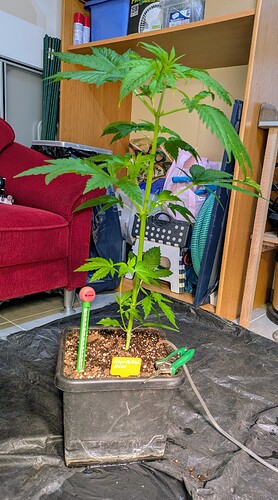 Growreport Bild 2