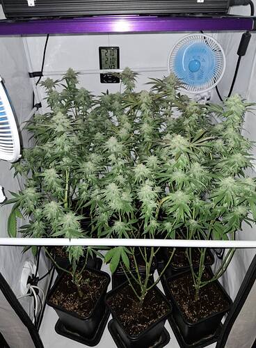 Growreport Bild 10