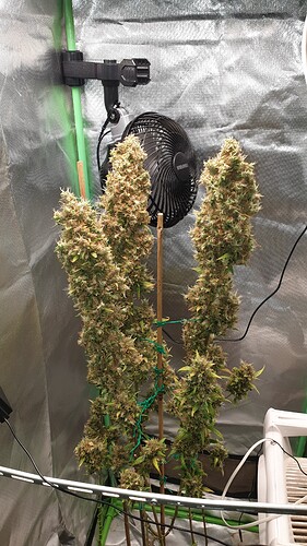 Growreport Bild 1