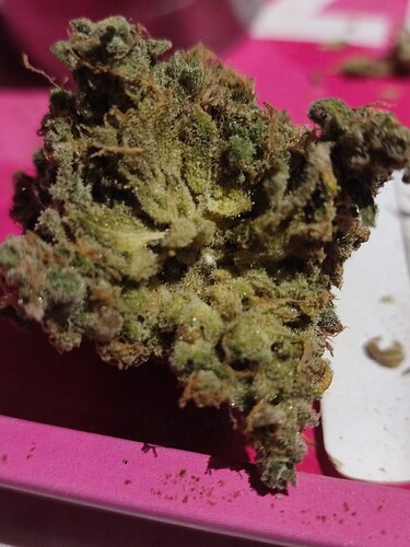 Growreport Bild 19