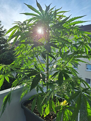 Growreport Bild 12