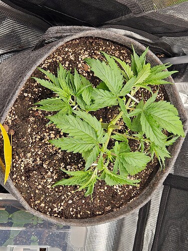 Growreport Bild 6
