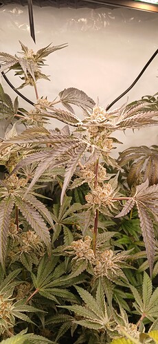 Growreport Bild 14
