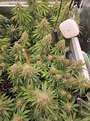 Growreport Bild 14
