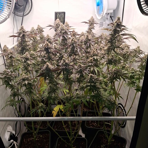 Growreport Bild 11