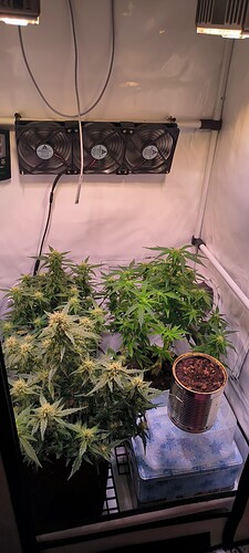 Growreport Bild 34