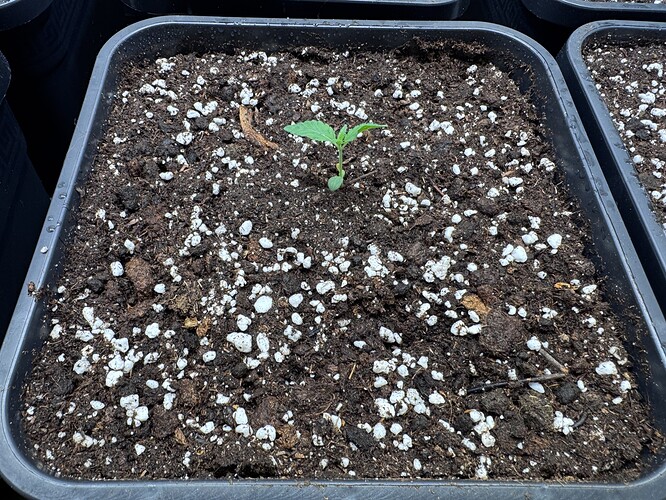 Growreport Bild 5