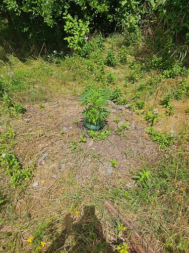 Growreport Bild 7