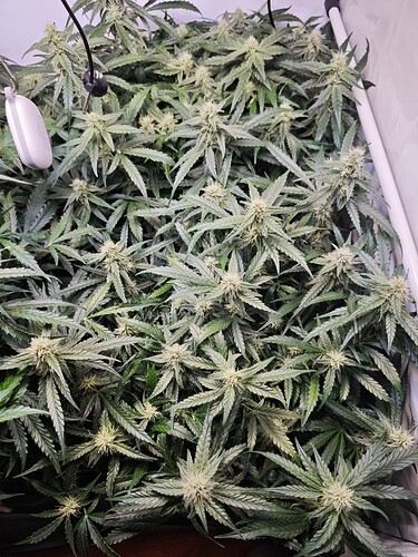 MVIMG_20251102_201259