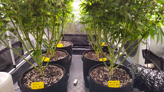 Growreport Bild 14