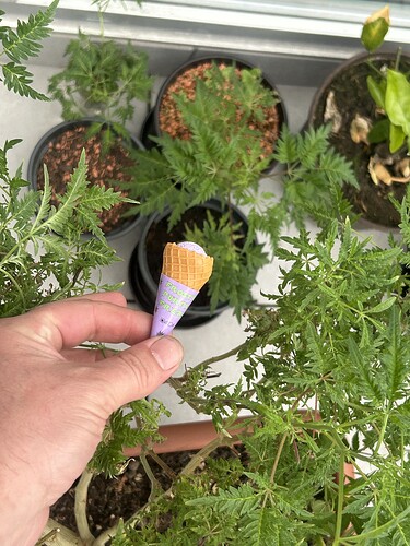 Growreport Bild 27