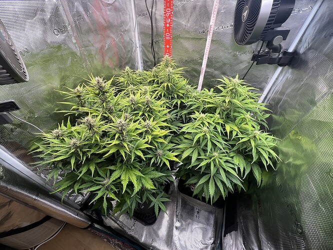 Growreport Bild 2