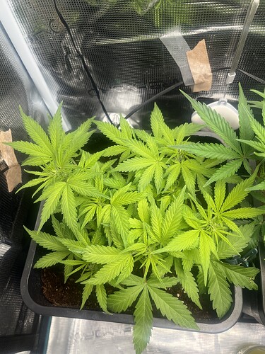 Growreport Bild 8