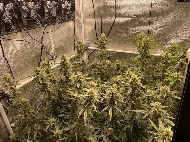 Growreport Bild 5