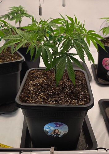 Growreport Bild 30