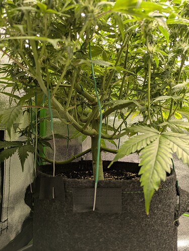 Growreport Bild 17