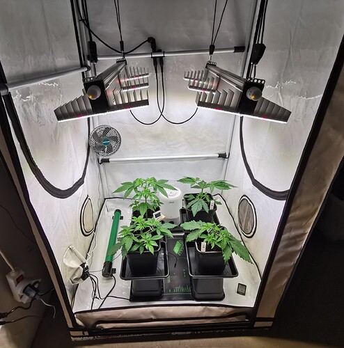 Growreport Bild 14