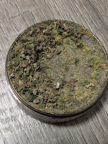 Growreport Bild 7