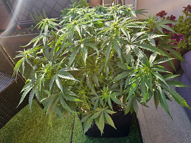 Growreport Bild 7
