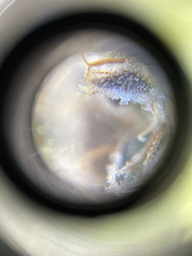 Growreport Bild 11