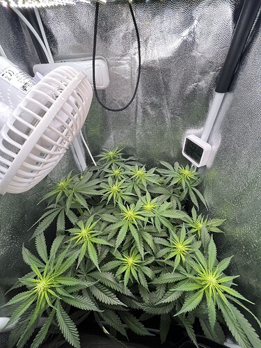 Growreport Bild 2