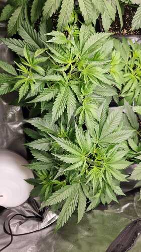 WhatsApp Bild 2024-04-26 um 18.11.21_1989e7e8