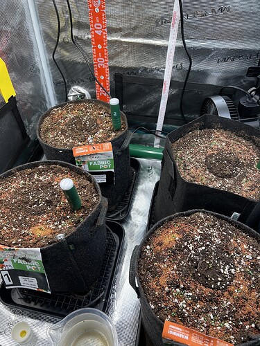Growreport Bild 4