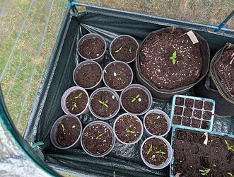 PXL_20250413_065149742.MP